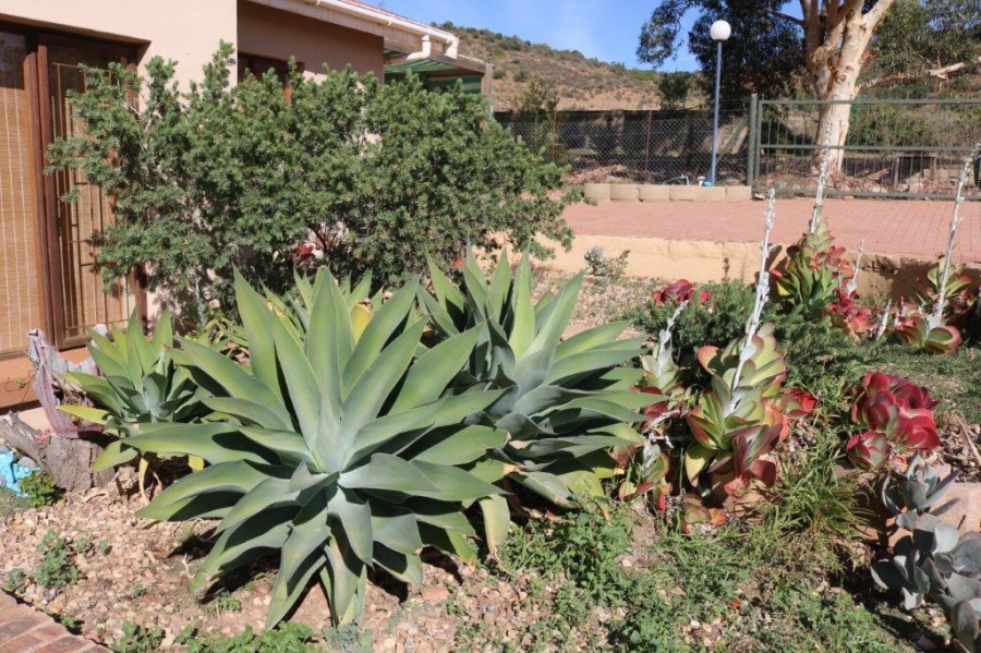 Commercial Property for Sale in Oudtshoorn Rural Western Cape